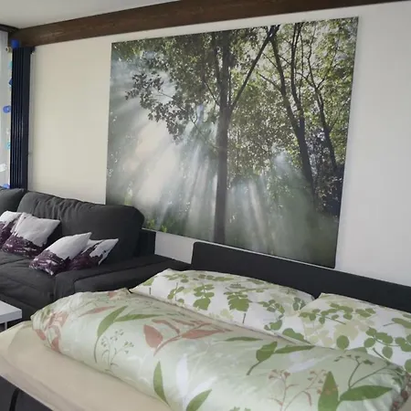 Ferienwohnung Engelberg * 英格堡