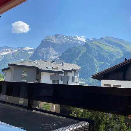 公寓 Ferienwohnung Engelberg 英格堡