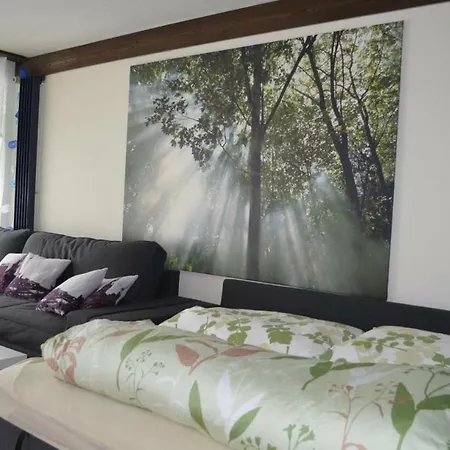 Ferienwohnung Engelberg Daire *