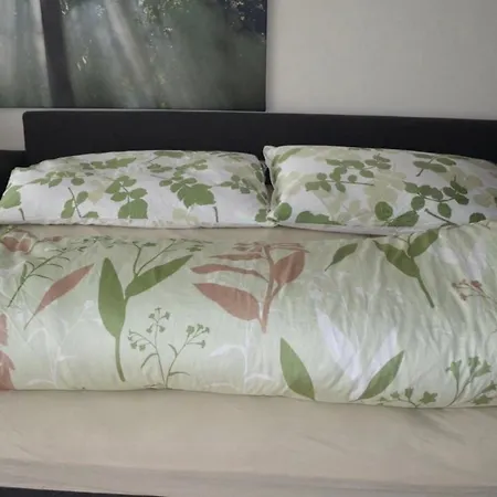 Ferienwohnung Engelberg Appartement Engelberg