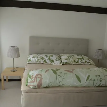Ferienwohnung Engelberg شقة